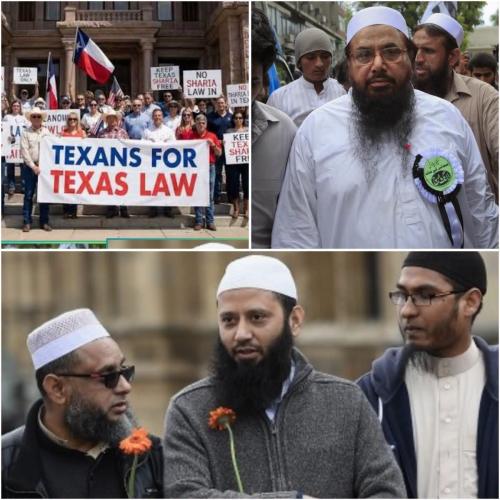 Parasites