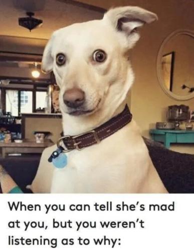 mad-at-you-not-listening