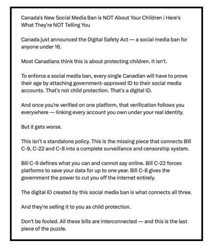 social media ban