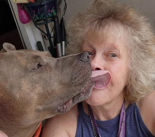 2026 kissing day 1