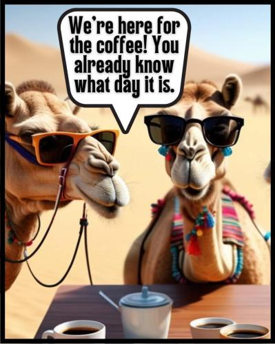 1-Hump Day