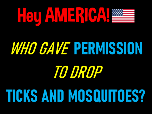 ticks