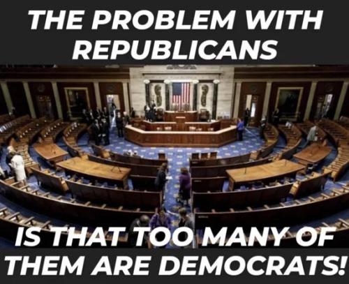 the-problem-with-repubs