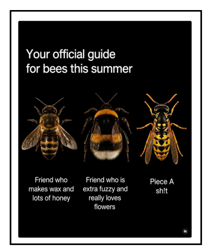 bee guide