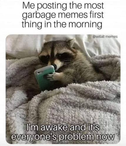 garbage-memes-in-morning