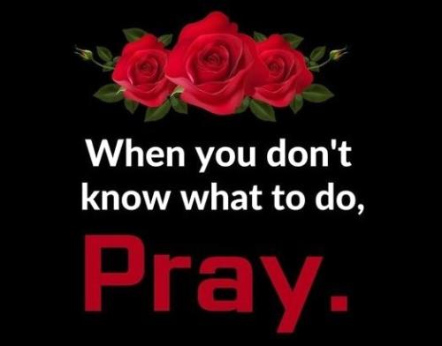 062226 - Red roses - pray