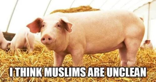 muslims-are-unclean