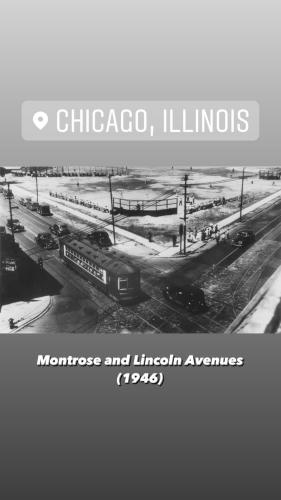 chicago 41