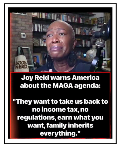 joy reid