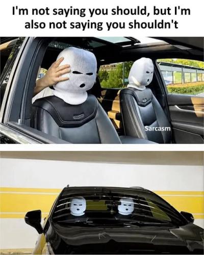 not-saying-you-should