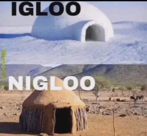 igloo-nigloo