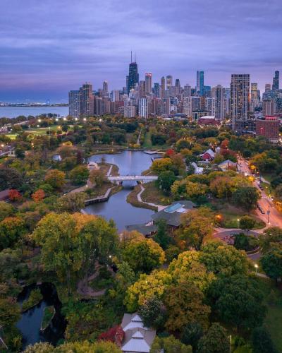 chicago 61