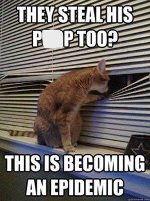 they-steal-his-poptoop-this-is-becoming-an-epidemic