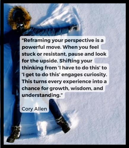 1C-Perspective