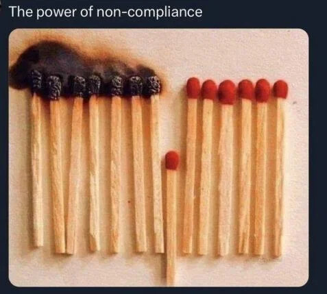 power-of-noncompliance