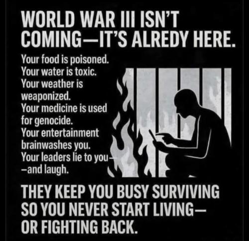 FB_IMG_1780872250886