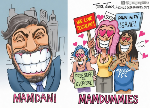 mamdani-dummies-tina-toon-2026