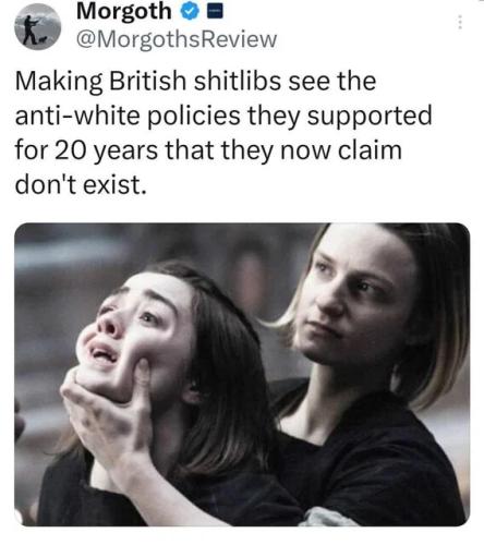 making-shitlibs-see-antiwhite-policies