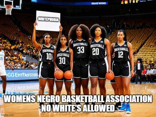 WOMENSNEGROBASKETBALLASSOCIATON3