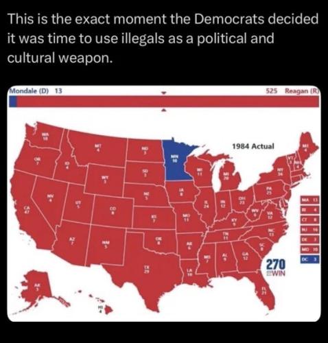 moment-dems-decide-use-illegals