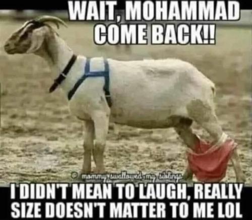 Haha!