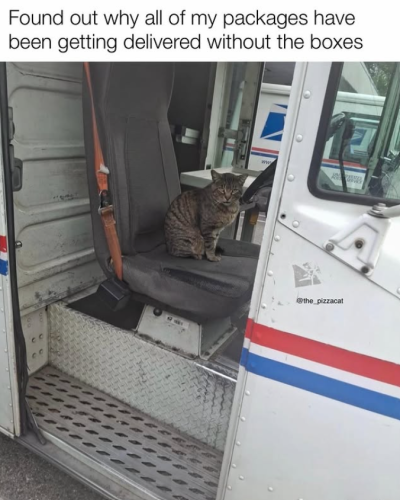 found-out-why-all-my-packages-have-been-getting-delivered-without-boxes-719-ww-states-the_pizzacat