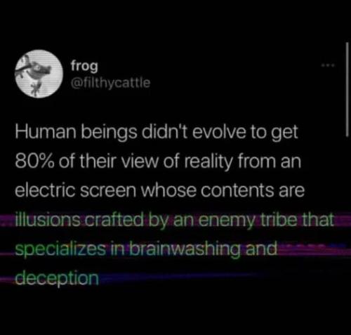 humans-didn't-evolve-for-screens