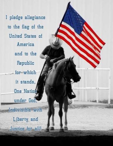 pledge 73