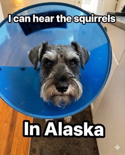 20260603_163217