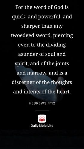 unnamed-14