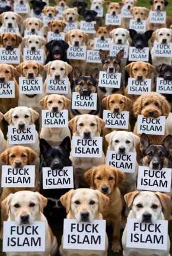 1780268243138