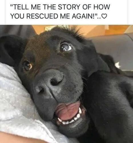 how-you-rescued-me