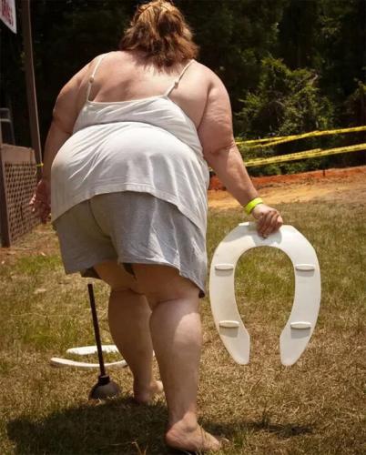 toilet-horseshoes