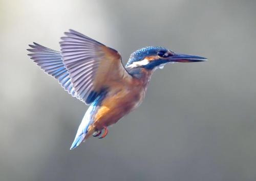 20260605_090142