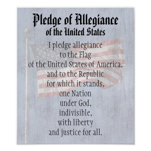 pledge 79