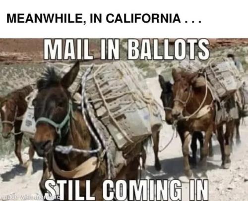 mail-in-ballots-coming-in