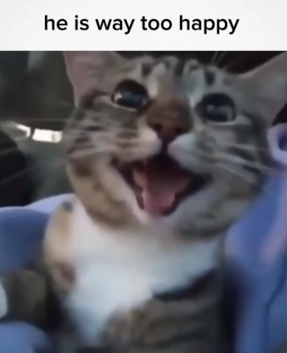 he-is-way-too-happy