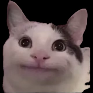 June 23, 2026