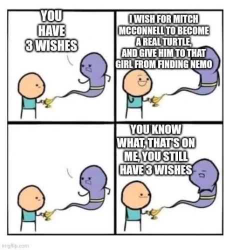 you-have-3-wishes