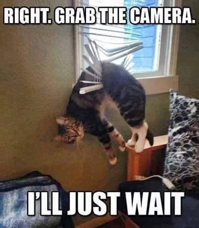 right-grab-camera-just-wait