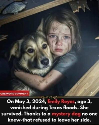 12200