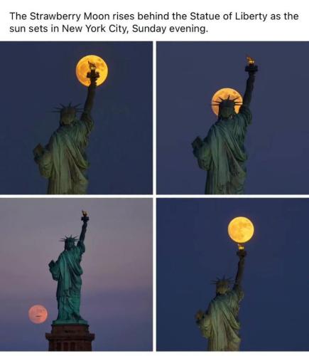 dc745393-d054-4cf2-97e6-a29bdfd4e7c0