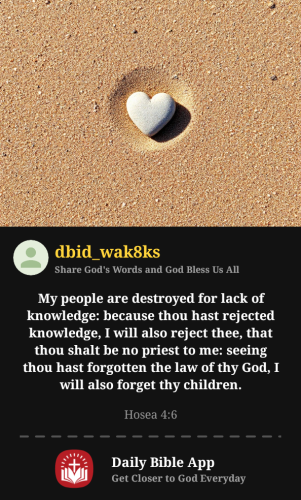 2026-05-311780271815498