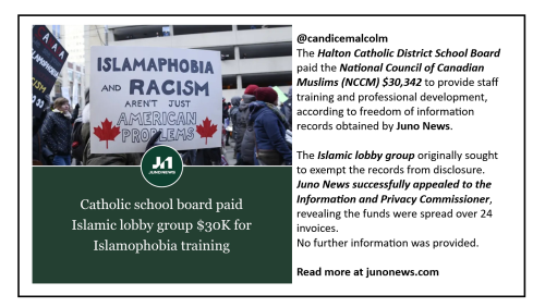 catholic school board