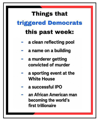 triggered democrats