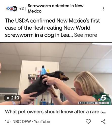 Screenshot_20260610_084639_Google(1)
