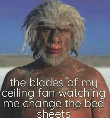 person-blades-my-ceiling-fan-watching-change-bed-sheets