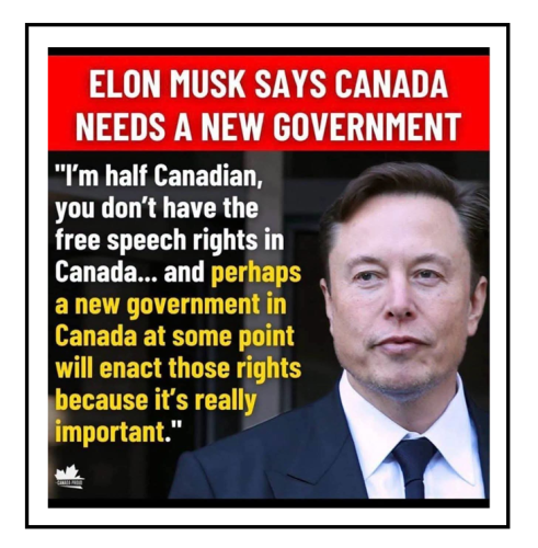 elon says