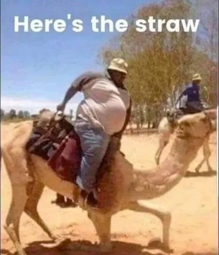 the-straw
