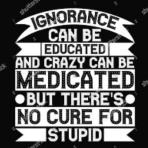 Stupid